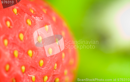 Image of Strawberry