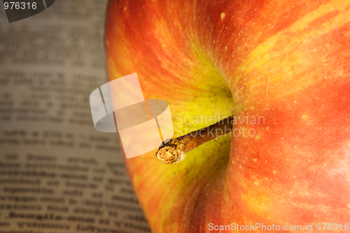 Image of Apple