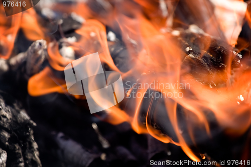 Image of Fire