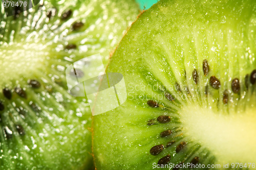 Image of Kiwi