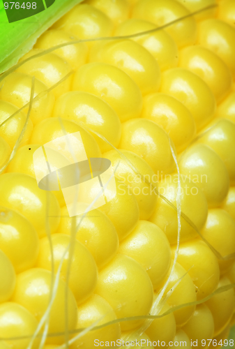 Image of Corn cob