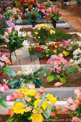 Image of Graveyard