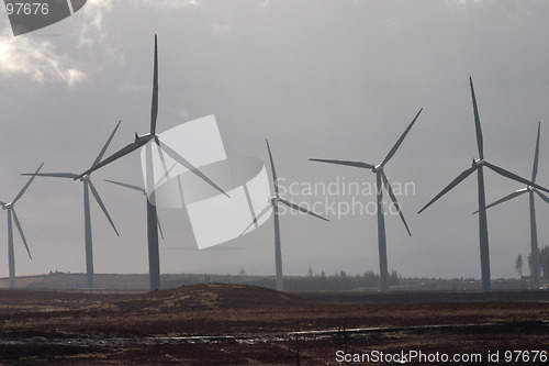 Image of Wind Power