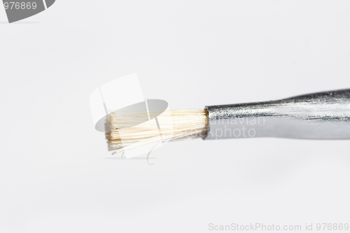 Image of Paint brush