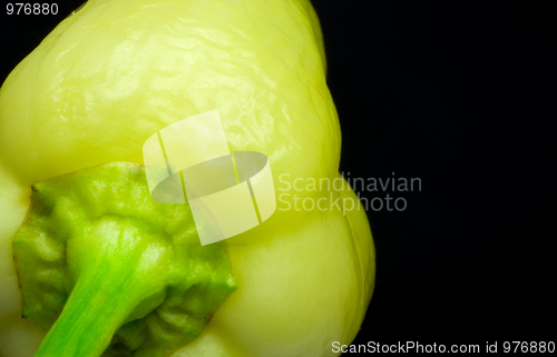 Image of Yellow  pepper isolated