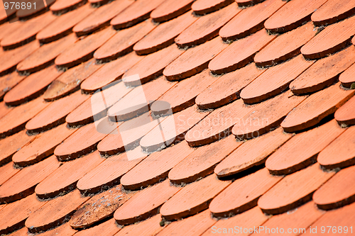 Image of Roof