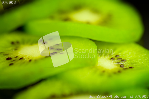 Image of Kiwi