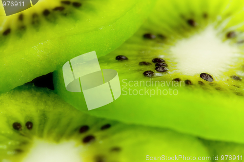 Image of Kiwi