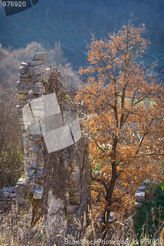 Image of Ruins