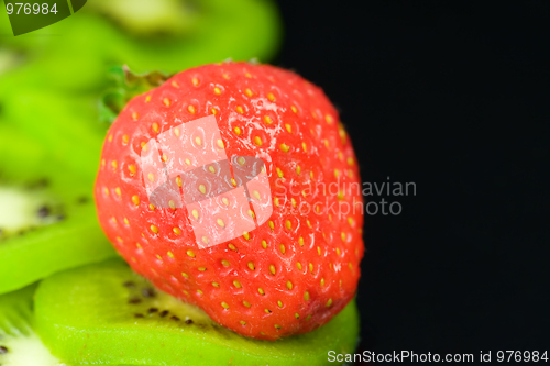 Image of Fruit salad