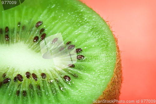 Image of Kiwi