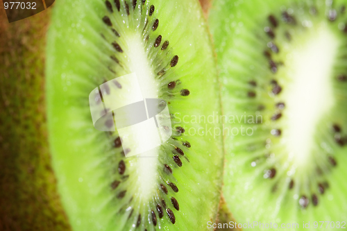 Image of Kiwi