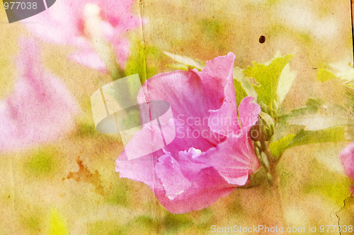 Image of Grunge floral background