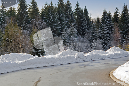 Image of Winter road