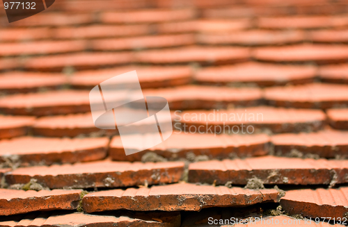 Image of Roof