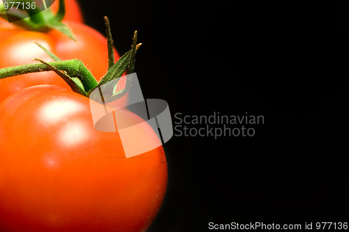 Image of Tomato