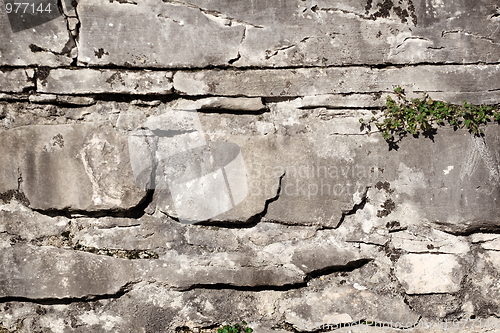 Image of Stone wall