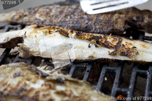 Image of Fishes on grill