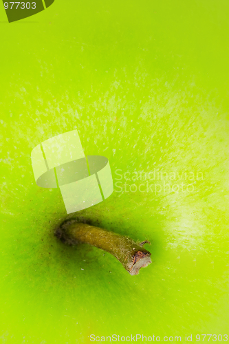 Image of Green apple