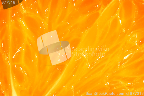 Image of Orange