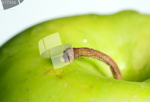 Image of Green apple