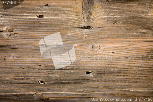 Image of Wood
