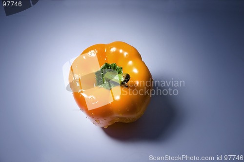 Image of Isolated Orange Pepper