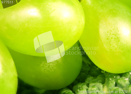 Image of Green grapes