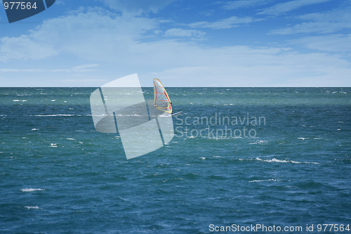 Image of Windsurfer