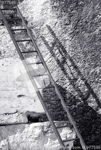 Image of Ladder