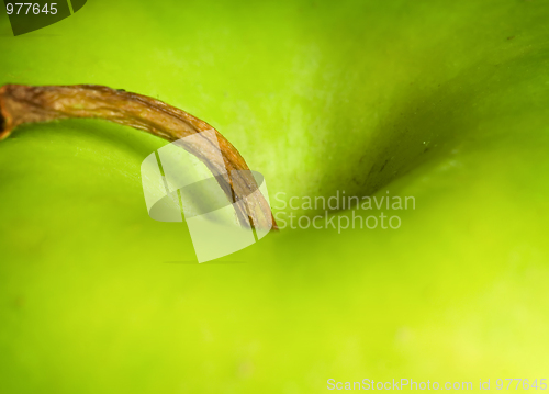 Image of Green apple