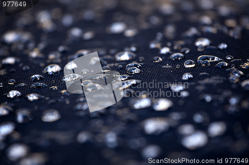 Image of Water drops