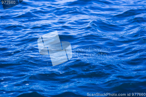 Image of Water