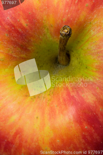 Image of Red Apple