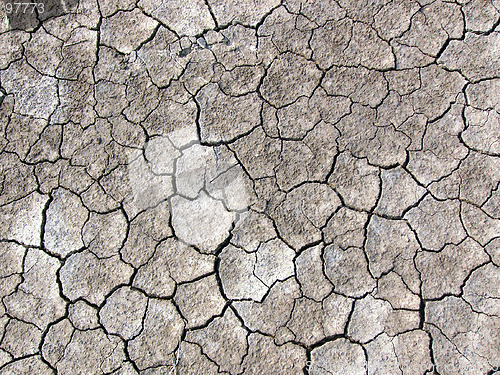 Image of Cracked earth