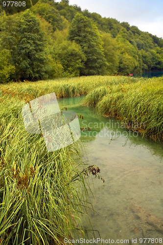 Image of Small river