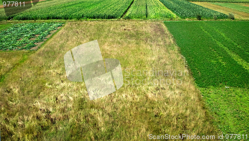 Image of Agricultural field