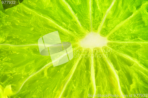 Image of Lime