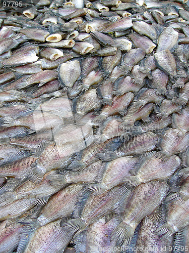 Image of Market fish