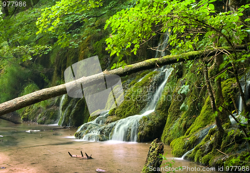 Image of Waterfalls