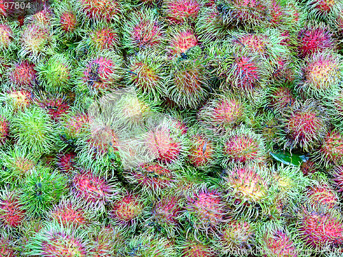 Image of Rambutans