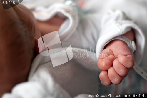 Image of Newborn Baby Hand
