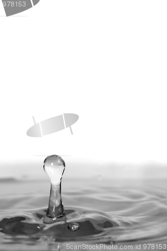 Image of Clear Water Droplet Splash