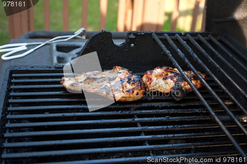 Image of Grilled Chicken Breasts