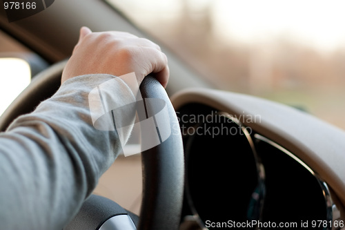 Image of Driving a Car