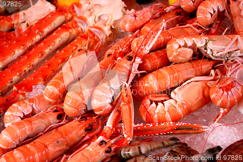 Image of Shrimps