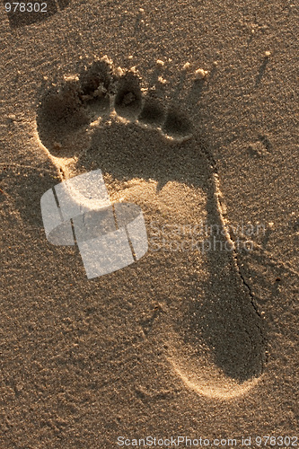 Image of Foot Print in the Sand