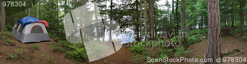 Image of Forest Tent Camping 