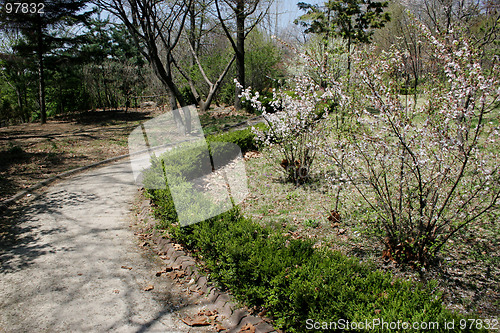 Image of Garden