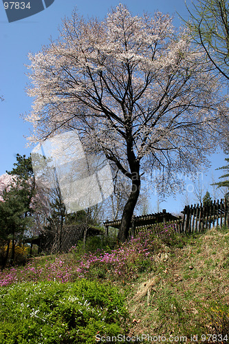 Image of Garden